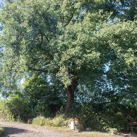 Podere La Quercia - Con Piscina Uso Esclusivo