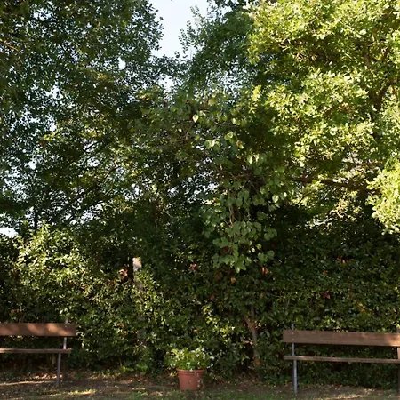 Podere La Quercia - Con Piscina Uso Esclusivo * Montescudaio